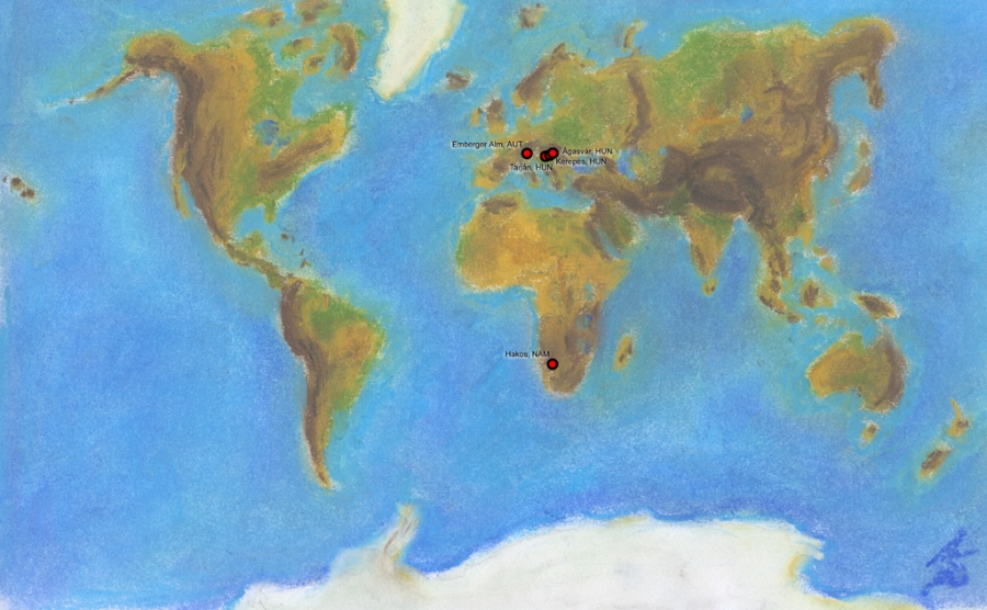 World map with the places of observation.