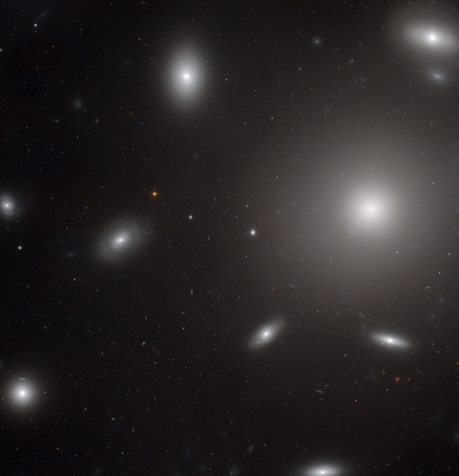 Hubble image of NGC 4874.