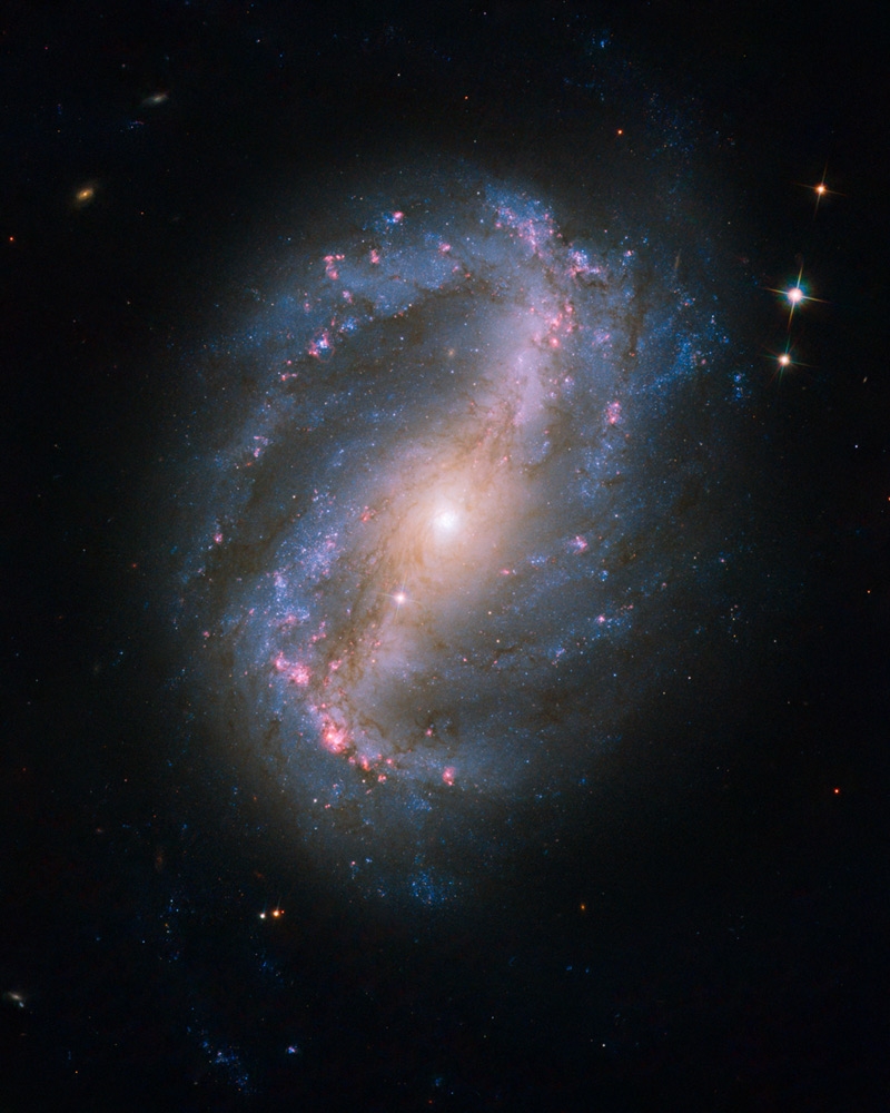 Hubble image of NGC 6217.