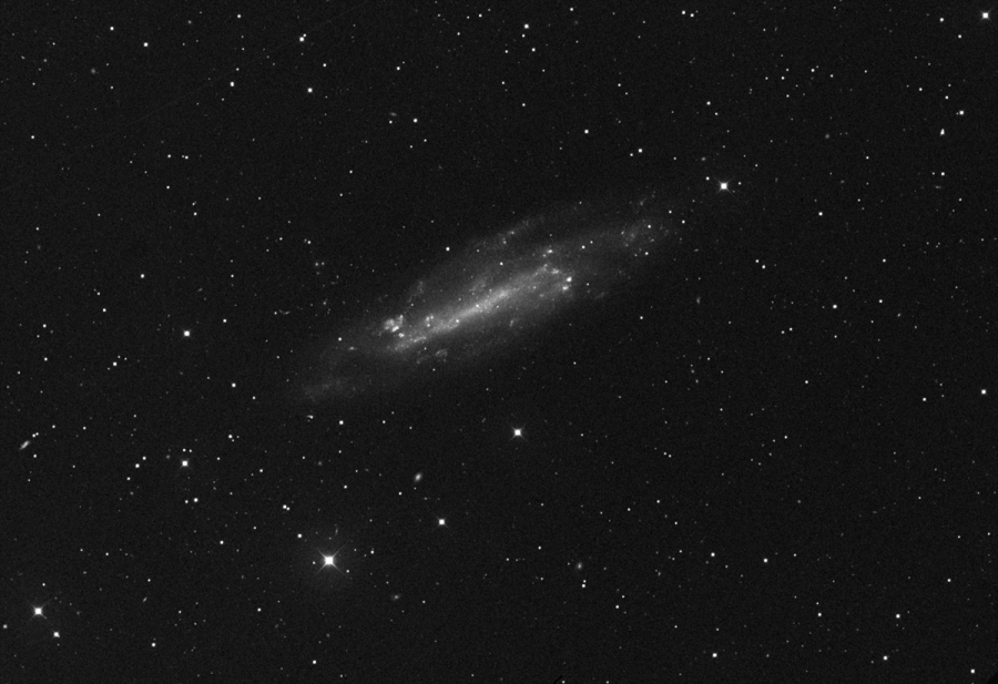 DSS photo of NGC 4236.